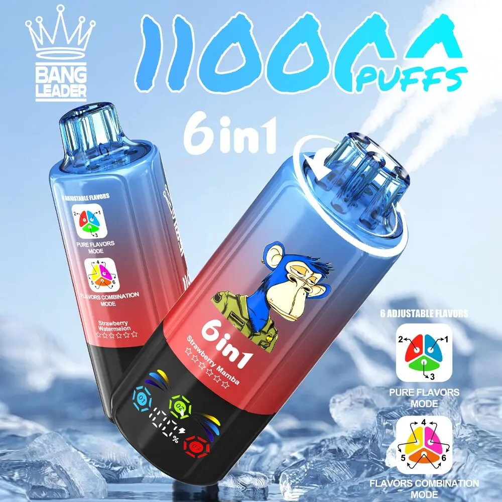 Bang Leader 110K | 110000 puffs, 6 flavor switching modes, LED screen, smart bulk disposable vape