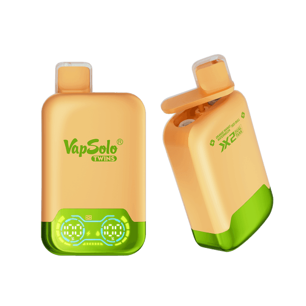 VapSolo Twins 20000 Puffs | dual flavor, 2% nicotine, bulk disposable vape - Image 15
