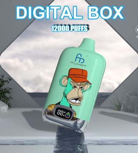 RandM Digital Box 12000 Puffs | 20mL, 850mAh, LCD screen, bulk disposable vape