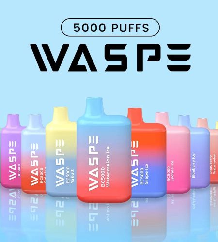 WASPE 5000 Puffs | 13mL, 0%-5% nicotine, bulk disposable vape